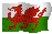 welsh flag